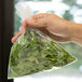 A hand holding a LK Packaging plastic food bag of green plants.