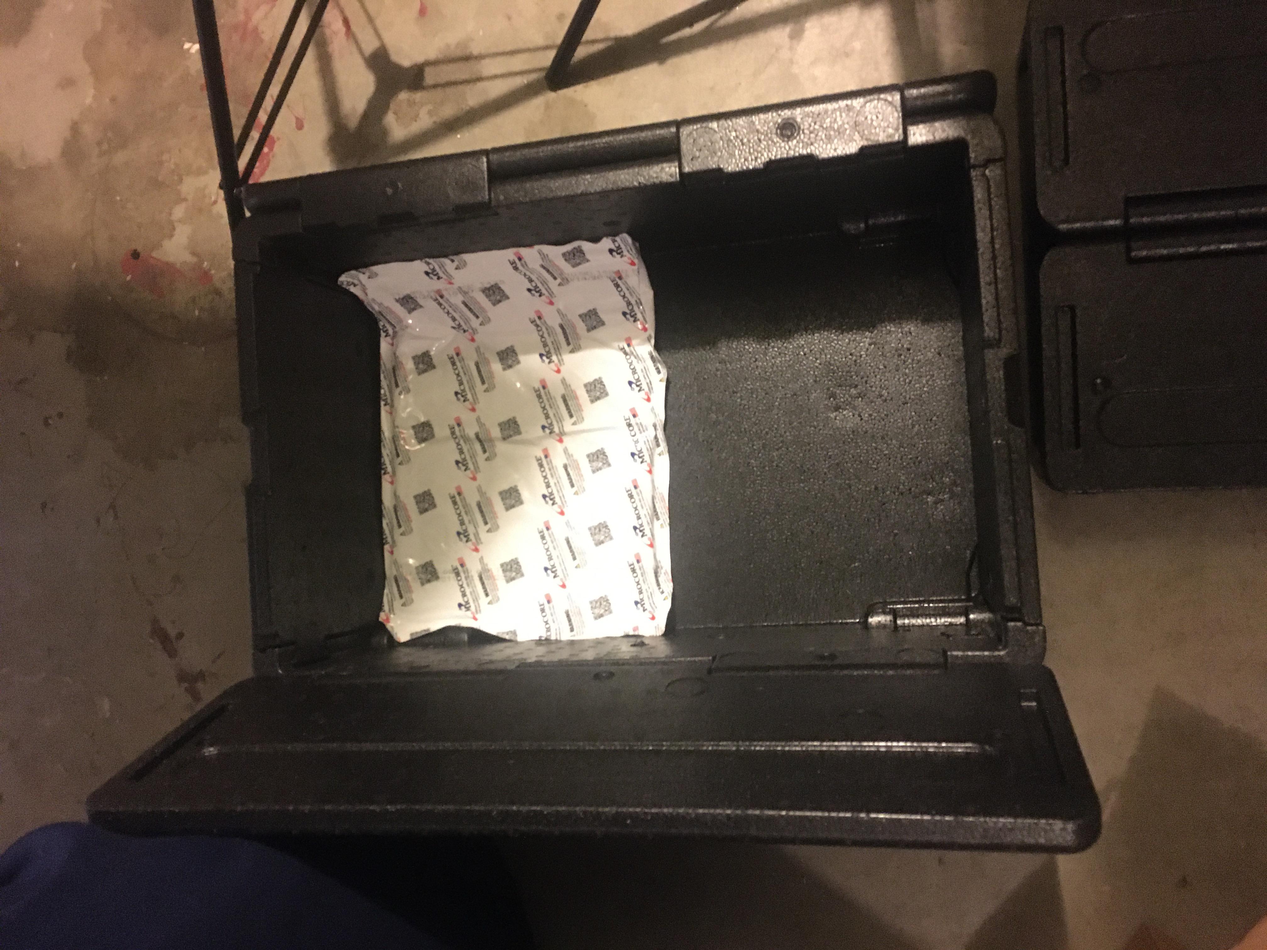 One cooler with A single microcore hot/cold pack sitting inside for size comparison.