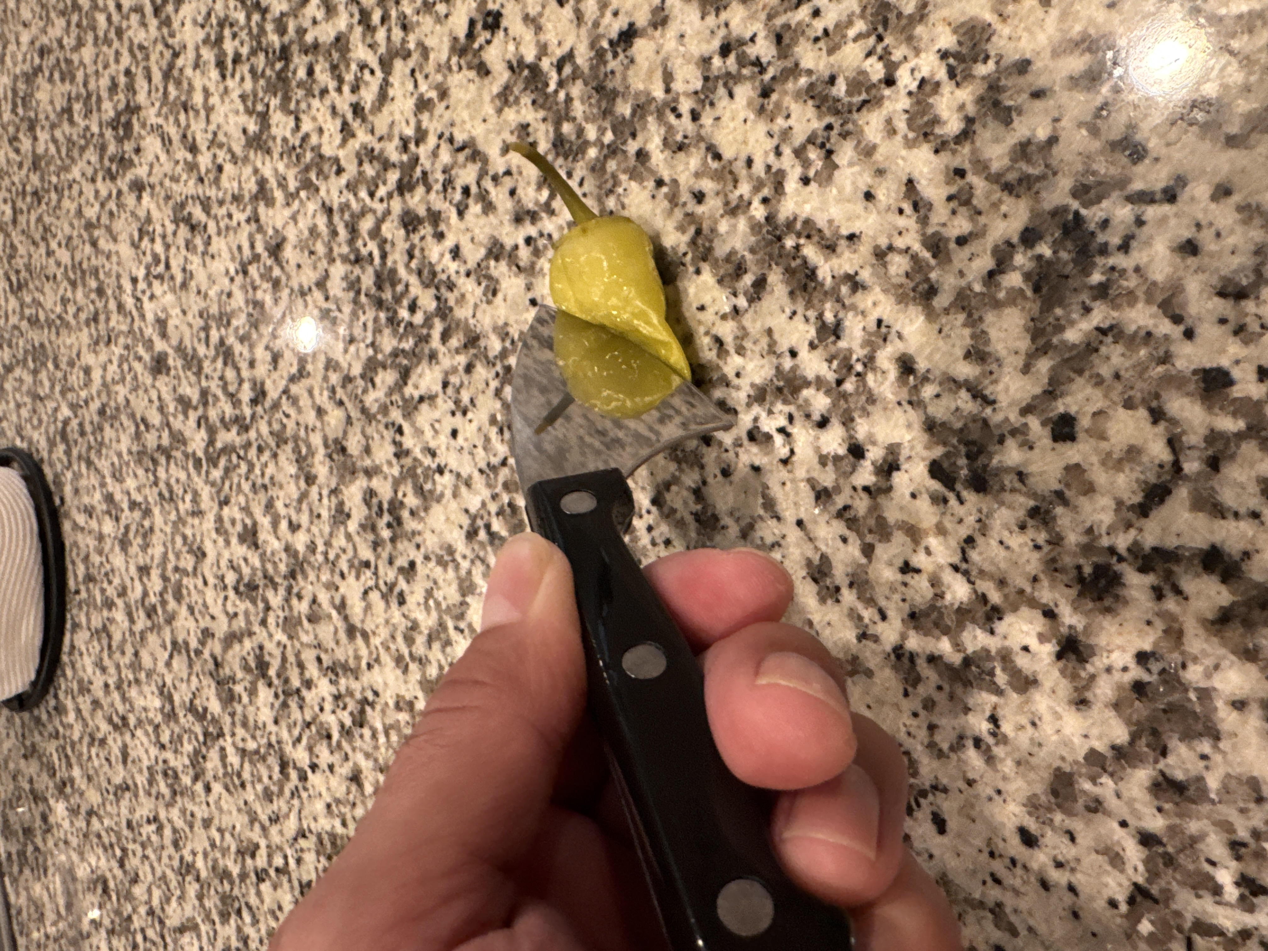 Great little knife for the price