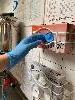 XL nitrile gloves