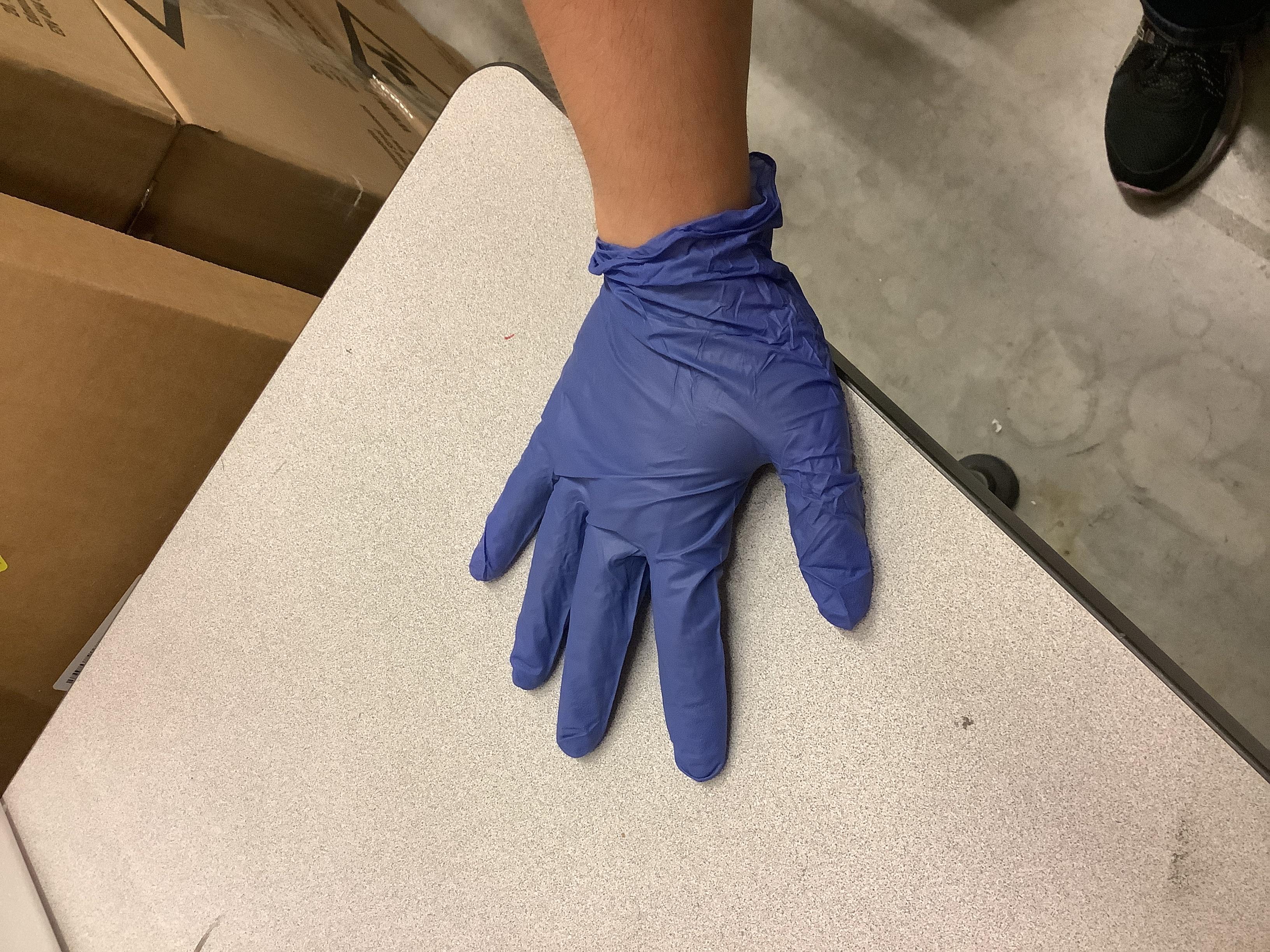 Gloves