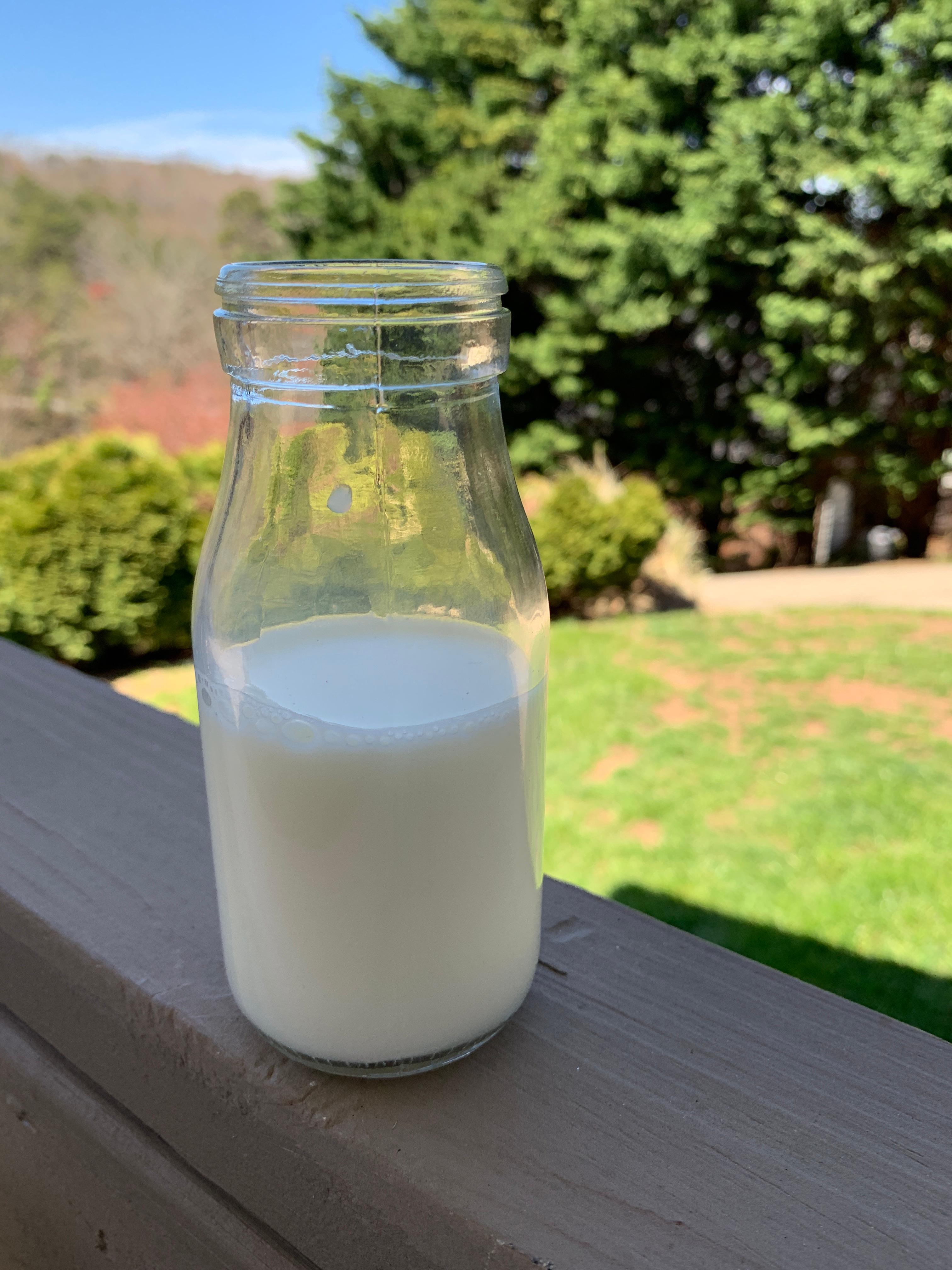 Acopa 10oz milk bottle, glass that we use in our home for
Cold drinks and most notably milk. My wife also has used some to decorate with flowers.