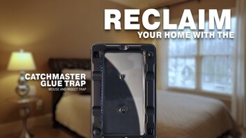 Catchmaster Glue Trap 104SD Overview