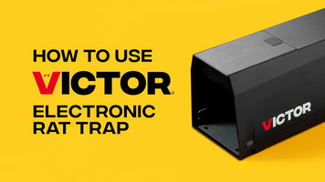 How to use the Victor electronic rat trap