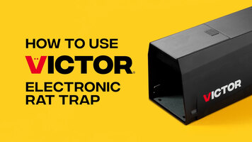 How to use the Victor® electronic rat trap