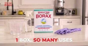 20 Mule Team Borax Overview
