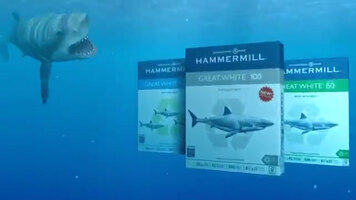 Hammermill Great White Paper