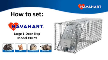 How to Set Havahart Large 1-Door Trap