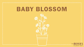 Mrs. Meyer's Garden-Inspired Scents: Baby Blossom