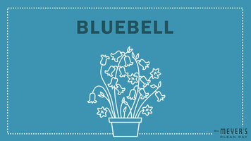 Mrs. Meyer's Garden-Inspired Scents: Bluebell