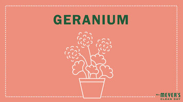 Mrs. Meyer's Garden-Inspired Scents: Geranium