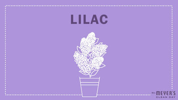 Mrs. Meyer's Garden-Inspired Scents: Lilac
