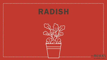 Mrs. Meyer's Garden-Inspired Scents: Radish