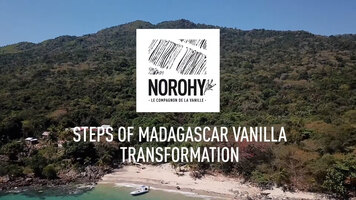 NOROHY | Steps of Madagasca Vanilla Transformation