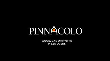 Pinnacolo Premio Wood Fired Pizza Oven Overview Pinnacolo Premio Wood Fired Pizza Oven Overview