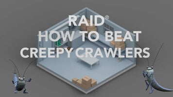 Raid: How to Beat Creepy Crawlers