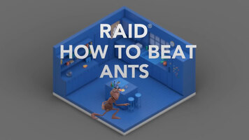 Raid: How to Beat Ants