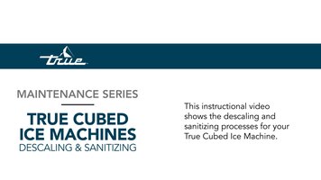 True Cubed Ice Machines: Descaling and Sanitzing