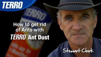 TERRO Ant Dust - control ants with waterproof ant killer