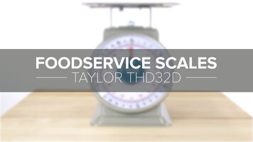 Taylor THD32D Mechanical Portion Scale with Dashpot