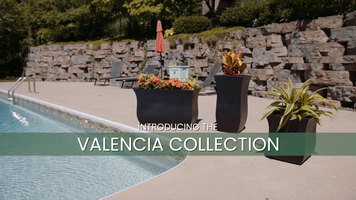 Valencia Collection | Mayne Inc.