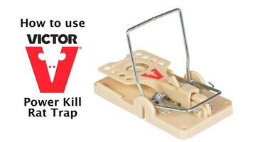 Victor Power Kill Rat Trap Instructional Video