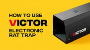 How to use the Victor electronic rat trap