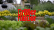 Safer: Critter Ridder Motion-Activated Sprinkler