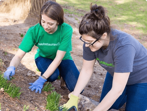 two webstaurant store employees planting trees