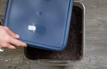 placing a lid on a food container
