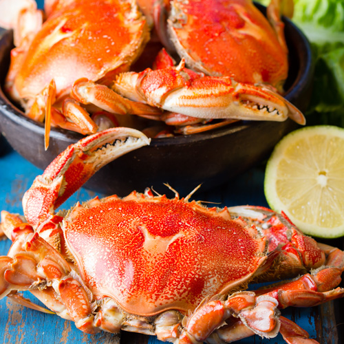 Two crabs on table with slice of lime