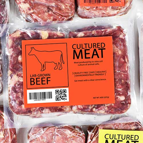 frozen cultured meat in plastic bag