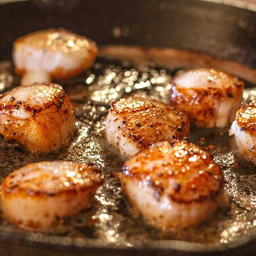 closeup of seared fresh sea scallops in butter and cracked pepper sizzling on a cast iron skillet
