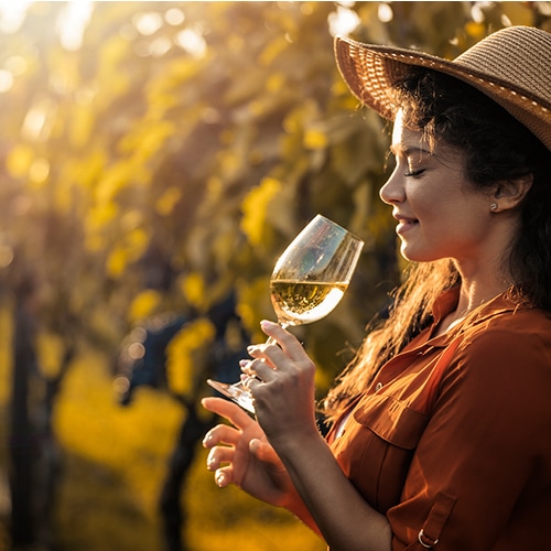 Woman in a vineyard during sunset holds a wine glass by its stem to take a sip