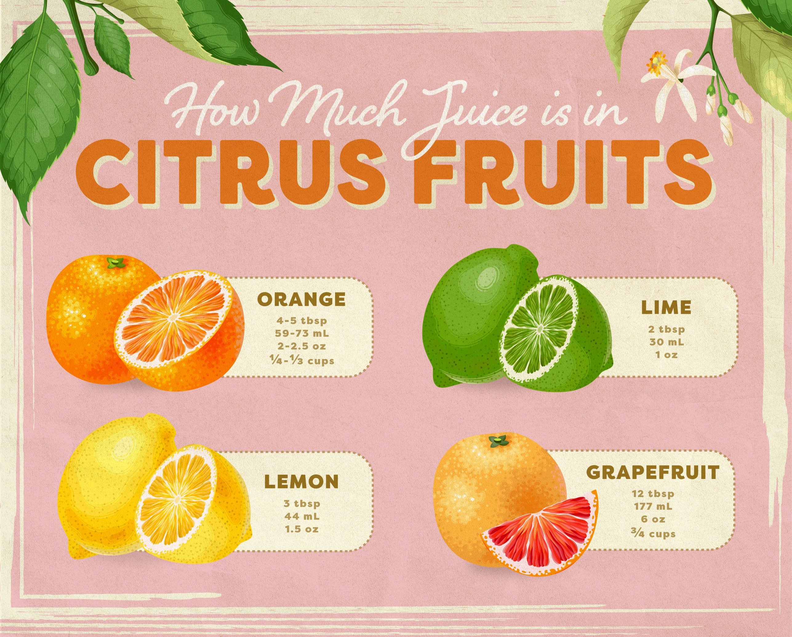 Citrus Infographic