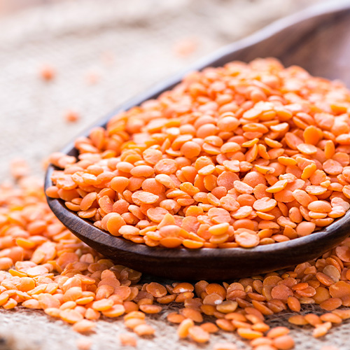 Lentils Kinds At Rosemary Hurwitz Blog Lentils Kinds At Rosemary Hurwitz Blog