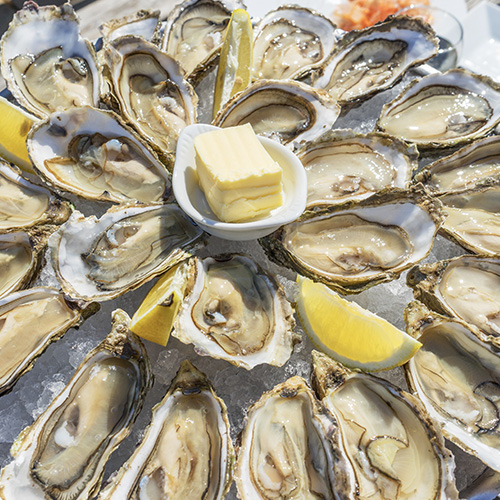 Fresh Oysters