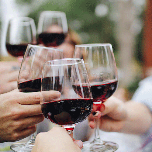 group of people raising glasses filled with red wine