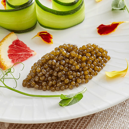 kaluga caviar