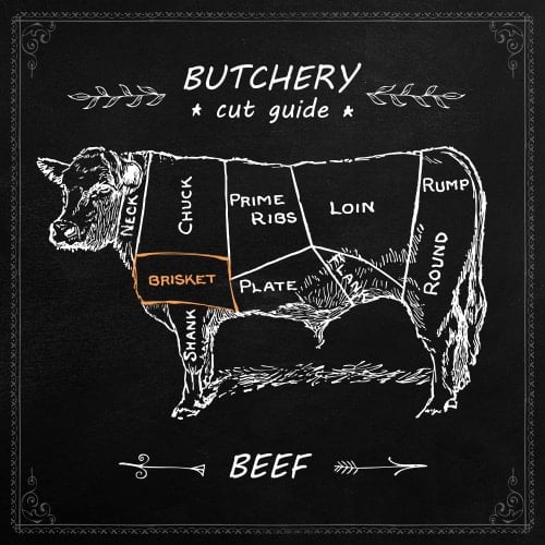 chalk drawing of a cow highlighting brisket
