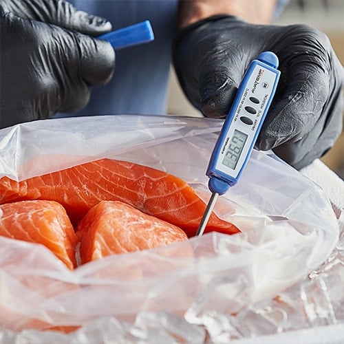 checking temperature of fish on ice with a digital thermometer
