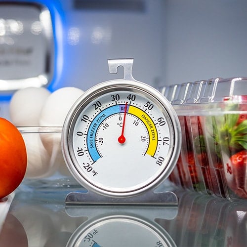 thermometer in a refrigerator with eggs and berries