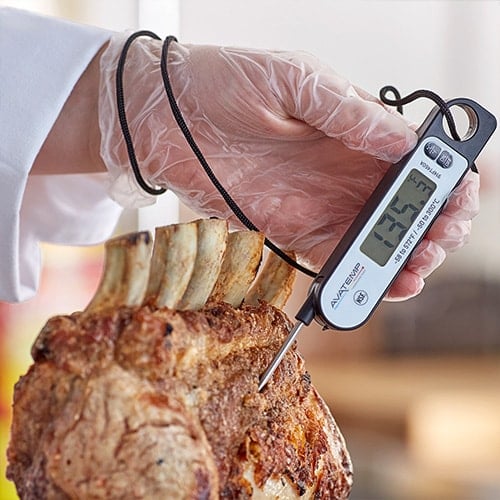 using a digital thermometer on a cut of meat