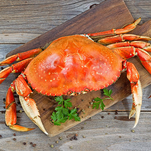 Cooked Dungeness Crab on a serving board