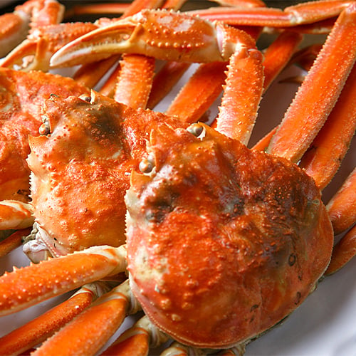 A row of red Snow Crab