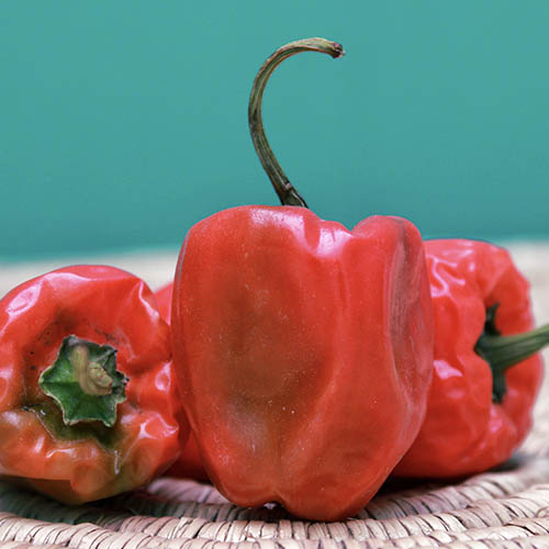 piri piri peppers