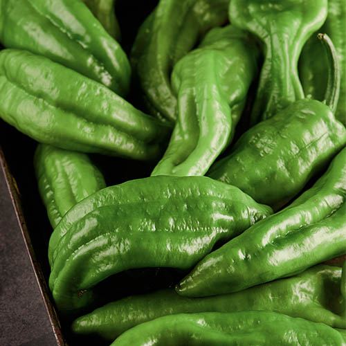 anaheim peppers