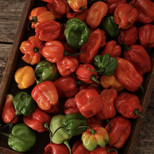 scotch bonnet peppers