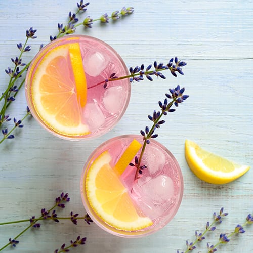 pink floral cocktails with lemon slices