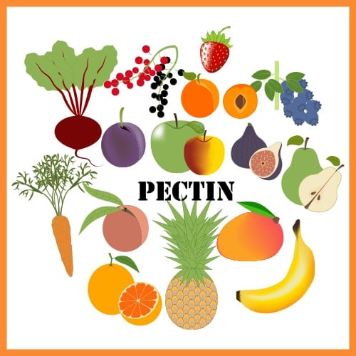 Fruit pectin illustration